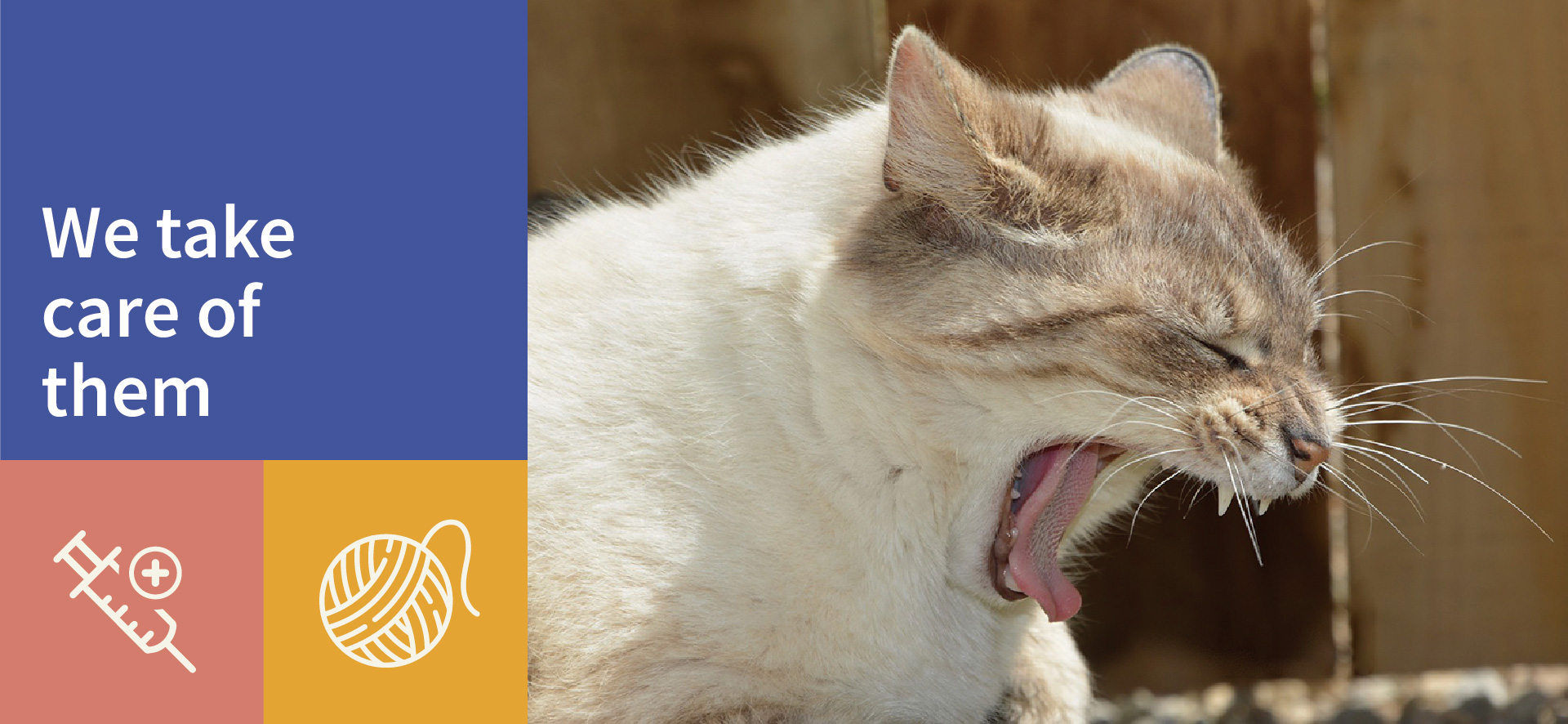 Why Do Cats Gag? 10 Vet-Verified Reasons & When to Worry